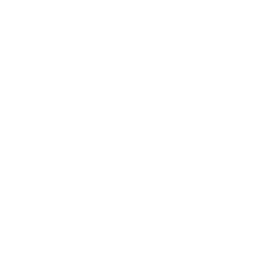 Copy-pase icon